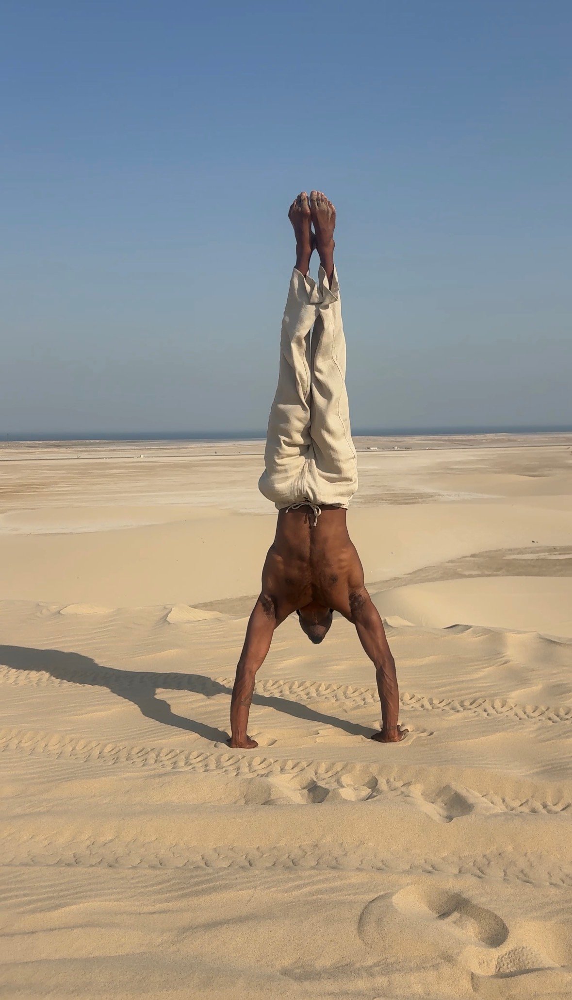 Wolf flybynature x Air Ryder Qatar