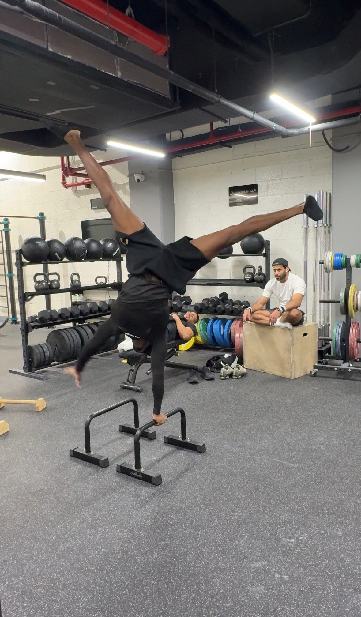Wolf flybynature x Air Ryder Qatar Tour