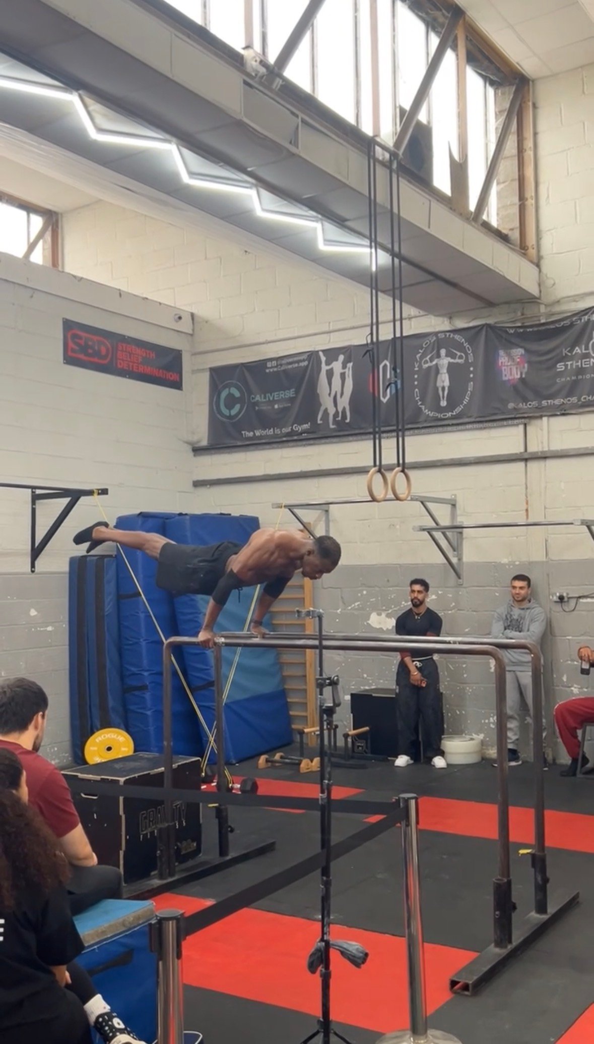 Wolf flybynature 1st place UKCO regional statics competition